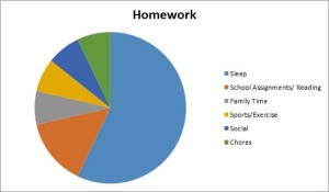 Balanced Homework Habit